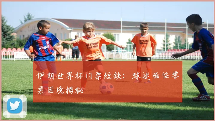 伊朗世界杯门票短缺:球迷面临零票困境揭秘