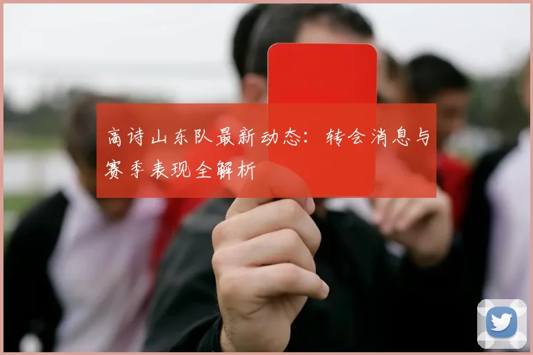 高诗山东队最新动态：转会消息与赛季表现全解析
